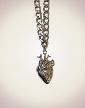 画像をギャラリービューアに読み込む, Living Necklace