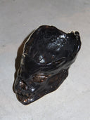 Grillz Skull