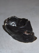 Grillz Skull