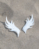SOAR -ANGEL